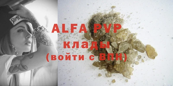 мдпв Богданович