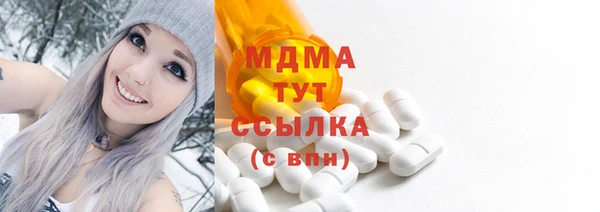 мдпв Богданович