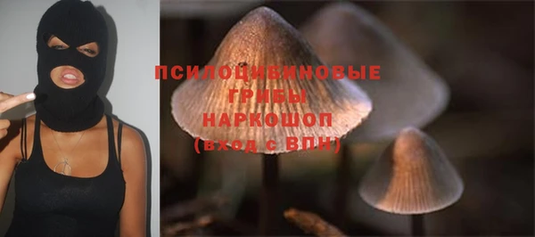 мдпв Богданович