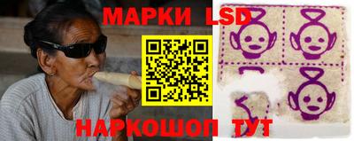 прущие крисы Новозыбков