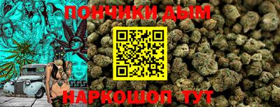 гидропоника Новодвинск
