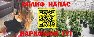 гидропоника Новодвинск