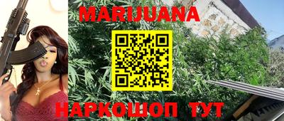 прущие крисы Новозыбков
