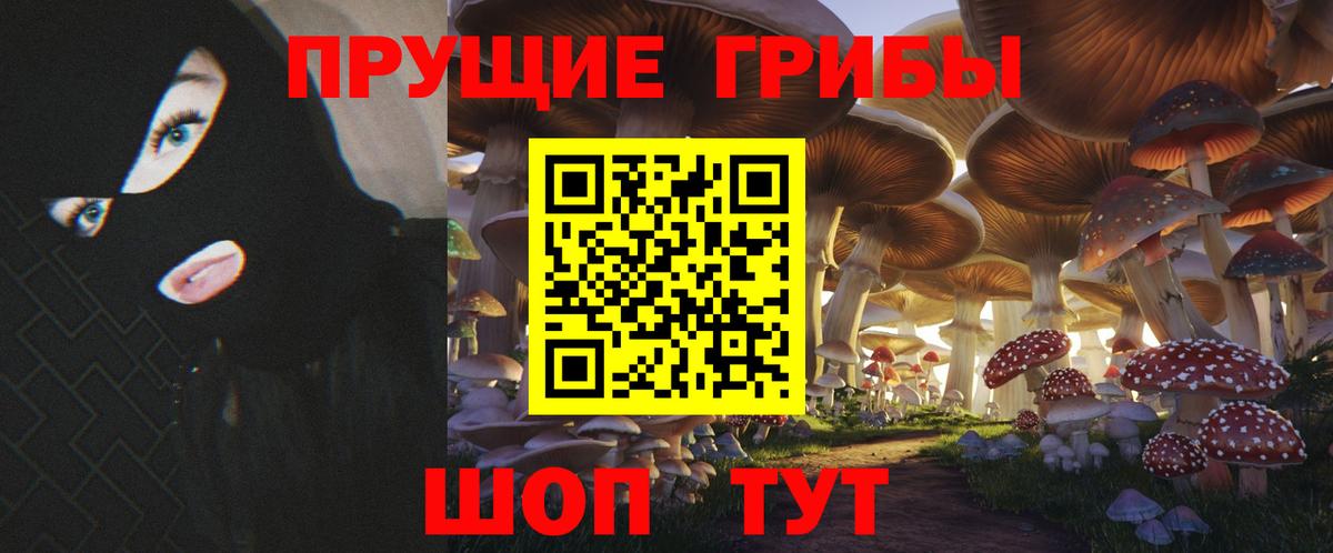 Галлюциногенные грибы прущие грибы Валуйки